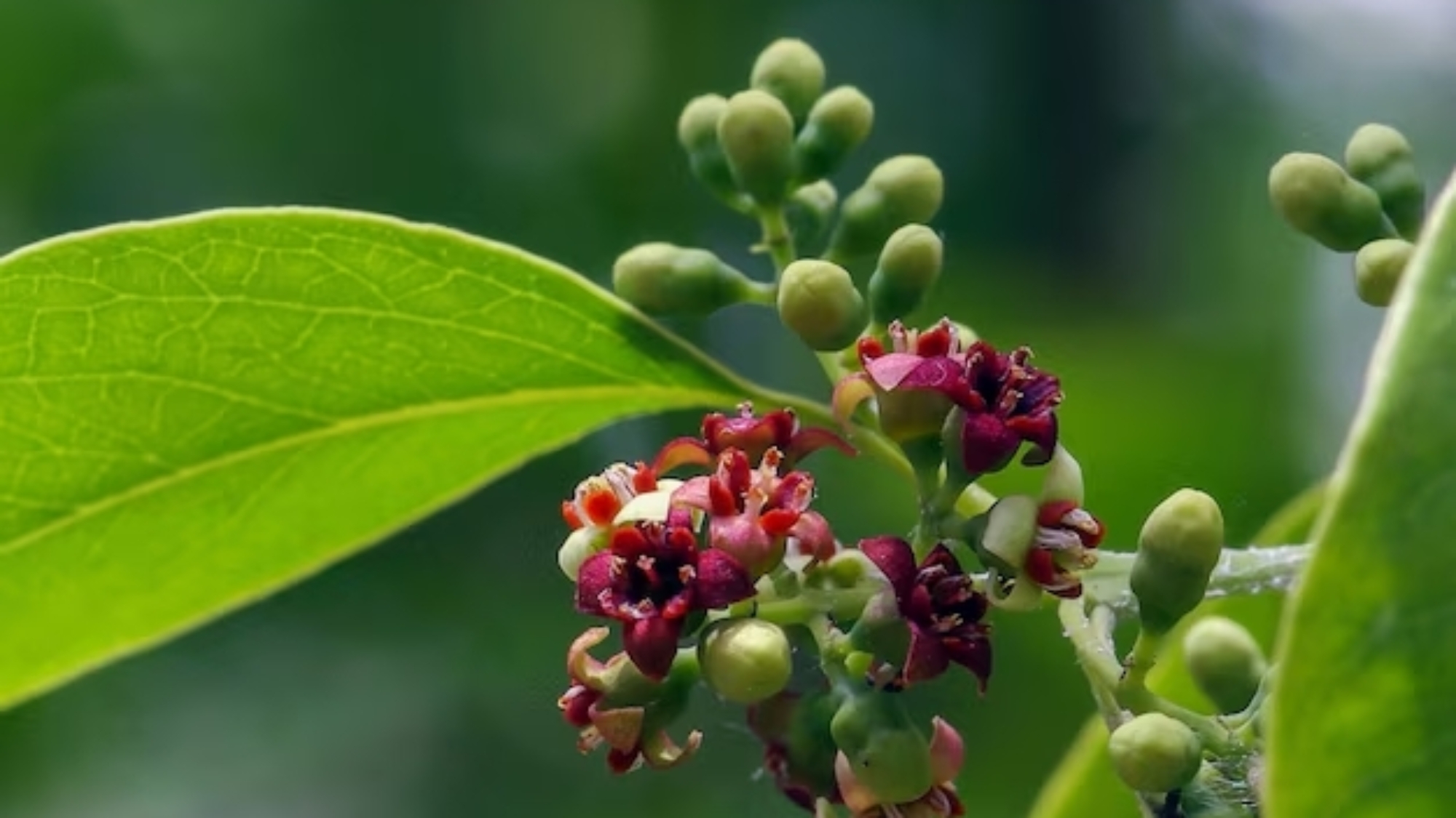 469035571_122127040370430187_718307604495745750_n